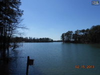 216 Lakeside Dr, Chapin, South Carolina  Image #5628040