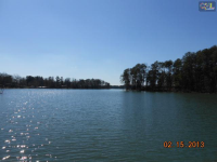 216 Lakeside Dr, Chapin, South Carolina  Image #5628042