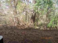 1550 Eagles Pl # K103, Rock Hill, South Carolina Image #5699561