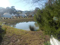 4207 Wrens Xing, Little River, South Carolina  Image #6150335