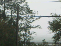 2840 Wigfall Dr, Mount Pleasant, South Carolina  Image #6151138