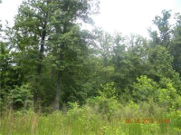 photo for 105 Misty Valley Ct
