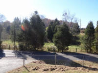 1229 Bales Rd, New Market, Tennessee  Image #5350769