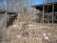323 New Clear Branch Rd, Lake City, Tennessee  Image #5869623