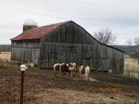 1821 Barker Rd, Thompsons Station, Tennessee  Image #6162442