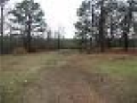 671 County Road 106, San Augustine, TX Image #3325407