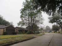5934 Bihia Forest Drive, Houston, TX Image #5186484