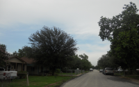 10105 Wiggins Street, Houston, TX Image #5186503