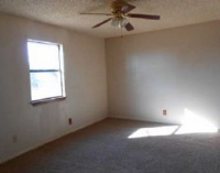 11100 Fm Highway 905, Pattonville, TX Image #5274619