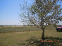 250 County Road 458, Coupland, Texas  Image #5302272
