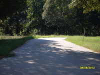 115 County Road Sw 3170, Winnsboro, Texas  Image #5302409