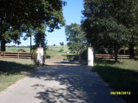 115 County Road Sw 3170, Winnsboro, Texas  Image #5302408