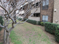 photo for 1901 Cloisters Dr Apt 915