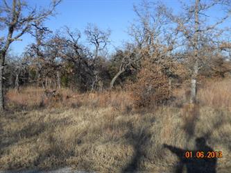 Lot F33 Phase 1 7r Ranch (Apn# R000, Gordon, TX Main Image