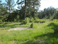 584 Pr 8385, Hillister, Texas  Image #6501823