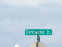 945 947 Fernwood Ave, Dallas, Texas  Image #6774760