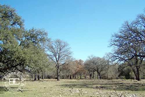 1 of the largest ranches in the Hunt area., Hunt, TX Main Image