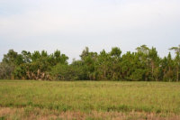 photo for 14422 BARRACUDA RD, LOT 265 BLK 28