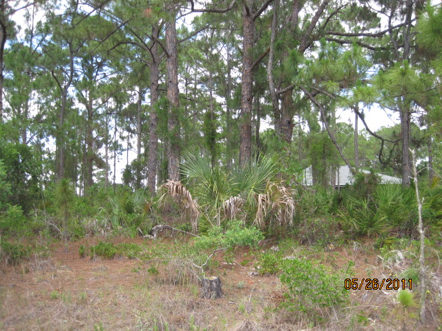 BATTALLA RD, LOT 25, NORTH PORT, FL Main Image