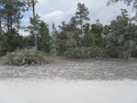 photo for 12101 MIRAGE AVE, LOT 10