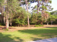 photo for 7701 STILL LAKES DR, LOT 31