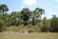 photo for 13071  PECK AVE, LOT 25