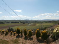 491 N Cowiche Road, Cowiche, WA Image #6374253