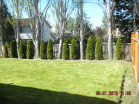 26213 123rd Ave Se, Kent, Washington  Image #6609615