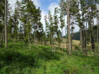 1949 Scott Rd, Rice, Washington  Image #7108187