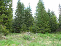 1949 Scott Rd, Rice, Washington  Image #7108196