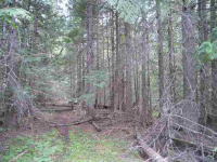 1949 Scott Rd, Rice, Washington  Image #7108200