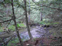 1949 Scott Rd, Rice, Washington  Image #7108199