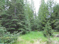1949 Scott Rd, Rice, Washington  Image #7108201