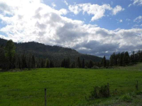 1949 Scott Rd, Rice, Washington  Image #7108192