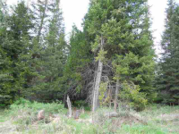 1949 Scott Rd, Rice, Washington  Image #7108195