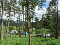 1949 Scott Rd, Rice, Washington  Image #7108186