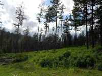 1949 Scott Rd, Rice, Washington  Image #7108188