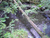 1949 Scott Rd, Rice, Washington  Image #7108197