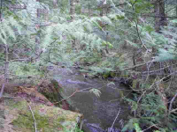 1949 Scott Rd, Rice, Washington  Image #7108198