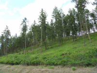 1949 Scott Rd, Rice, Washington  Image #7108194