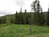 1949 Scott Rd, Rice, Washington  Image #7108193