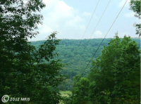 1 Laurel Ridge Road, Capon Bridge, West Virginia Image #4885894