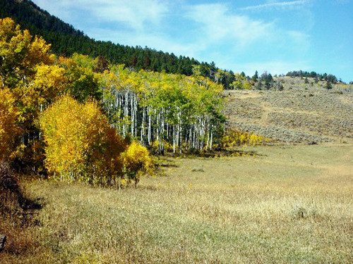 967 Road 4DT, Meeteetse, WY Main Image